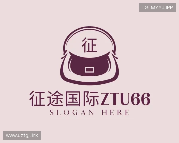 发现征途国际ztu66